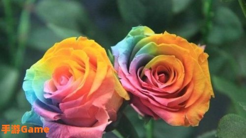 7色花