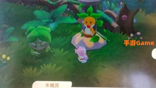 摩尔庄园木灵珠