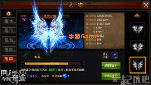 圣光之翼