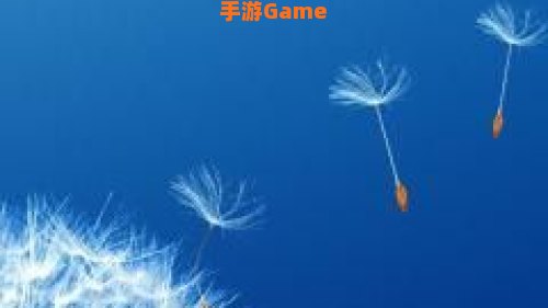 凤凰奇迹