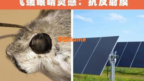哪种动物启发发明了防毒面具