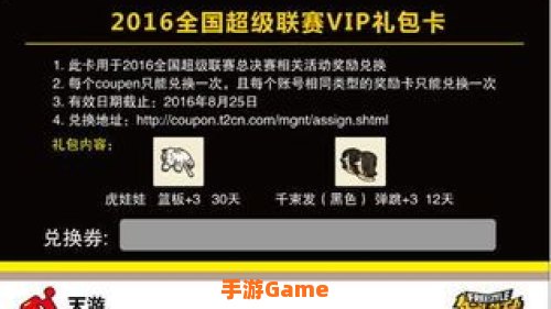 街头篮球vip包